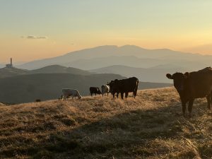 Китай ще отдели 100 милиарда юана за разширяване на вътрешното търсене
