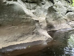 Глобални изпълнителни директори предлагат прозрения за Пекин като бизнес център