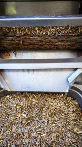 Внос на слънчогледови семена от Китай в България